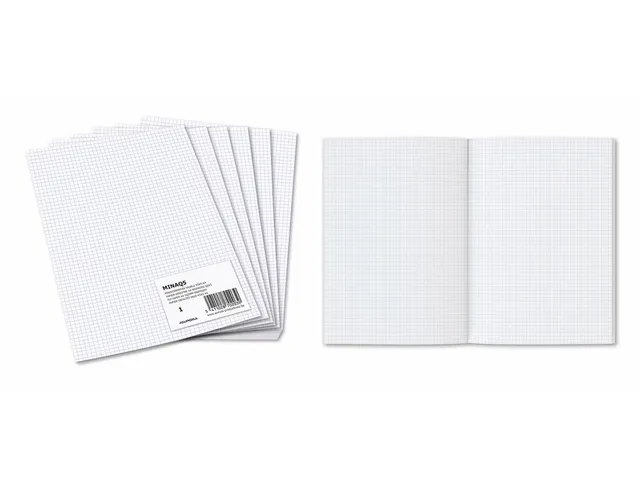 Geruit Ministerpapier A4 5x5mm 80 Gram 960 Bladzijden