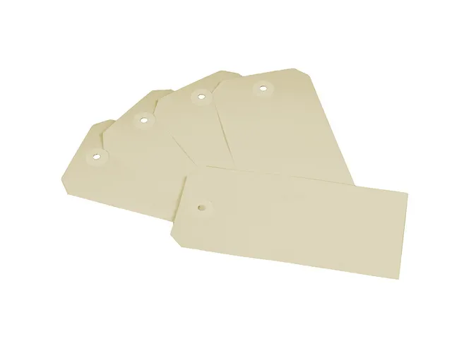 Labels Raadhuis 55x110mm chamois 250 stuks