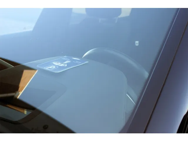 Disque de stationnement Kangaro E-car avec côté bleu et vert