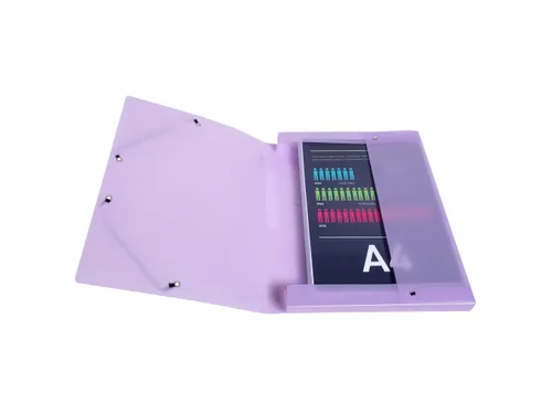 Klasseerdoos rug 25m m PP Chrom.Pastel
