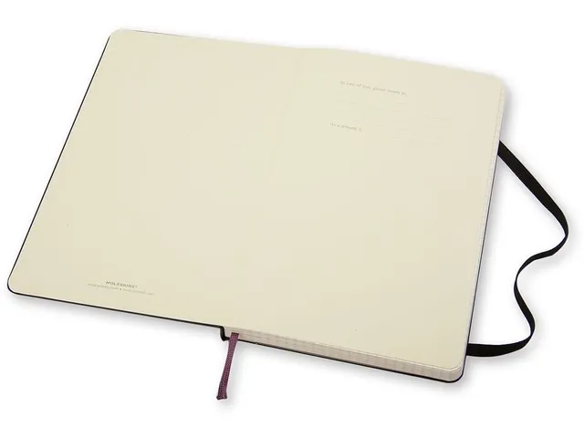 Notitieboek Moleskine large 130x210mm ruit 5x5mm hard cover zwart