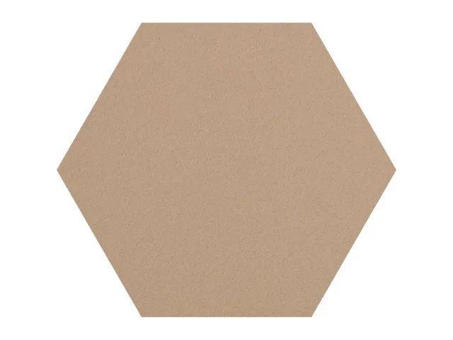 Prikbord Zeshoek Bruin Kleur 2186 Bulletin Paneel Ø 60cm frameloos