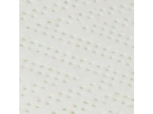 Handdoekpapier 209025 Z-vouw 2-laags Wit Groen Stipje 15x210 Stuks