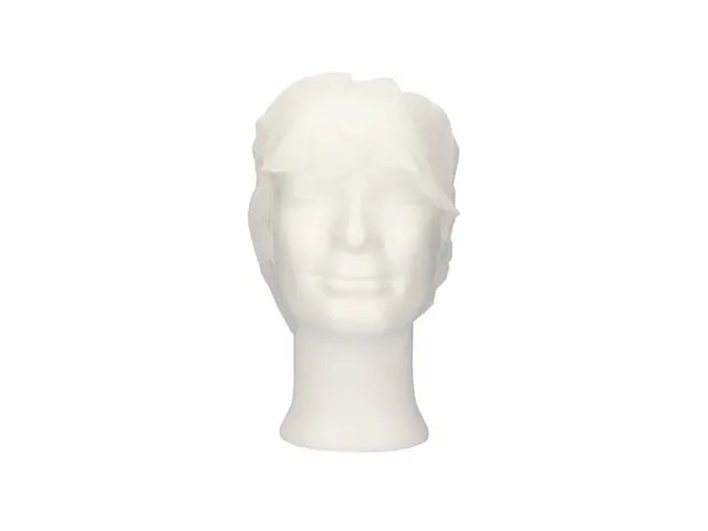 PPnw pet / klep XL haaropvang wit 'snood cap' 1000 Stuks