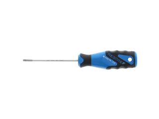 2163 Schroevendraaier TX T10 3C - 5