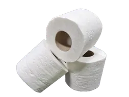 Toiletpapier Traditioneel Cellulose 2-laags 200 Vel 48 Rol Wit