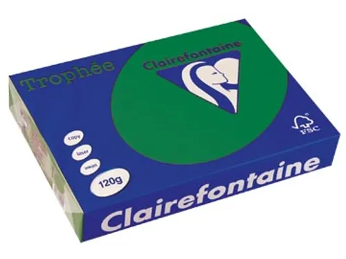 Trophée Intens Gekleurd Papier A4 120 gram 250vel Dennengroen