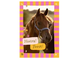 Wenskaart Hallmark uitnodiging paarden pak à 6 stuks
