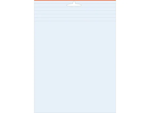 PK 100 verpakkingszakje PE 98x148mm