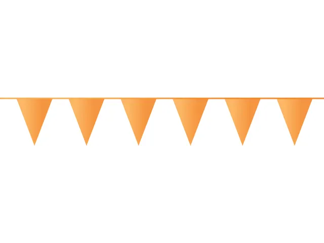 Vlaggenlijn oranje PE 10 m