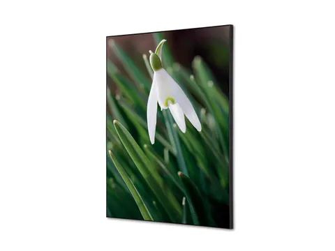 Wanddecoratie Textiel Set A2 Witte Bloem Sneeuwklokje