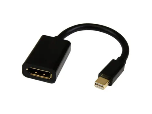 Mini DisplayPort naar DisplayPort adapter 4K x 2K UHD video adapter