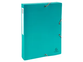 Klasseerdoos rug 40m m PP Forever Young - 2