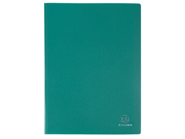 Protège-documents en polypropylène souple OPAK 180 vues - A4 - Coule