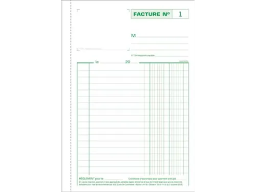Exacompta Facturen, Ft 21 X 14,8 Cm, Tripli, Franstalig