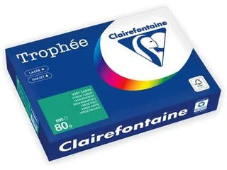 Trophée Intens Gekleurd Papier A4 80 gram 500vel Dennengroen - 1