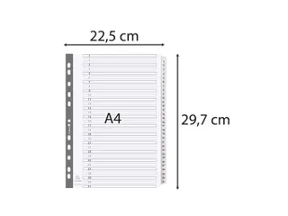Tabbladen karton 160g A4 1-31 wit - 1