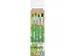 Set de pinceaux Eberhard Faber Green Winner 4pcs. Rond/plat 4,6,8 et 1
