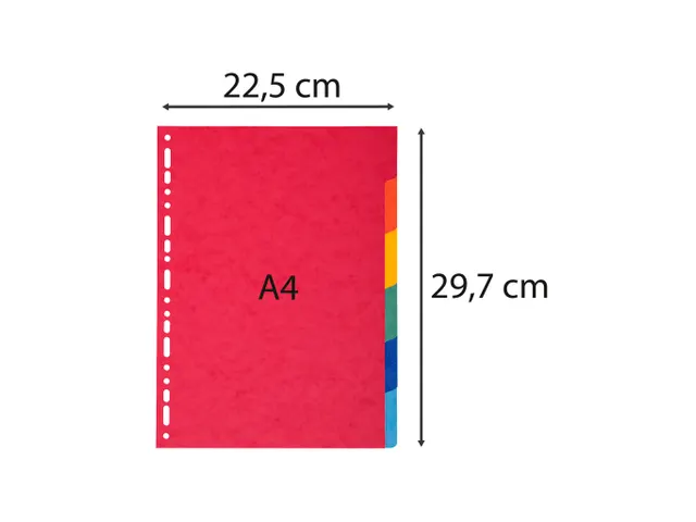 Tabbladen karton 220g 6-delig A4 Assorti