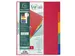 Tabbladen glanskarton 225g 5-delig A4 maxi Assorti
