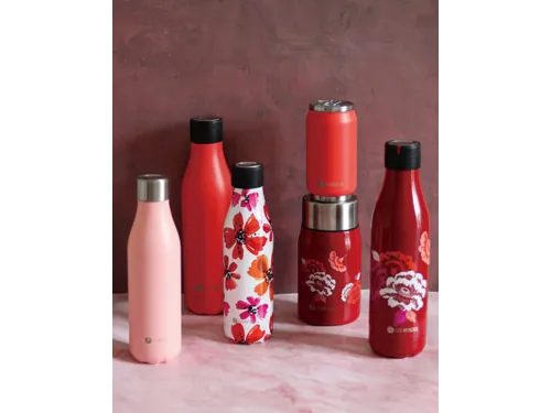 Thermosfles Les Artistes Paris 500ml Asian Vibe