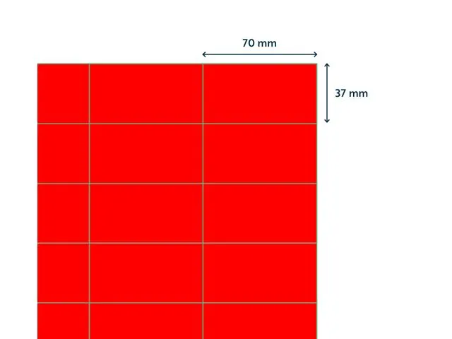 Gekleurde Etiketten 70x37mm Fluor Rood 42312