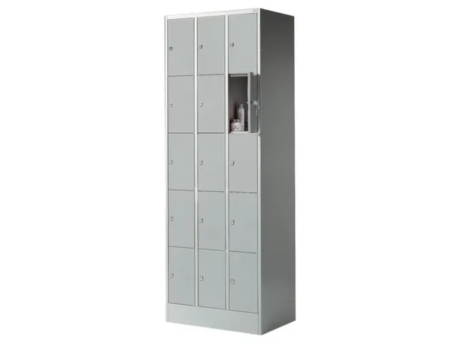 lockerkast,HxBxD 1950x680x480mm,3x5vakken,romp RAL7035,front RAL7035