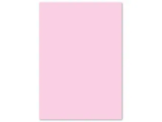 Papier Kangaro A4 120 grams pastel roze pak 100 vel - 3