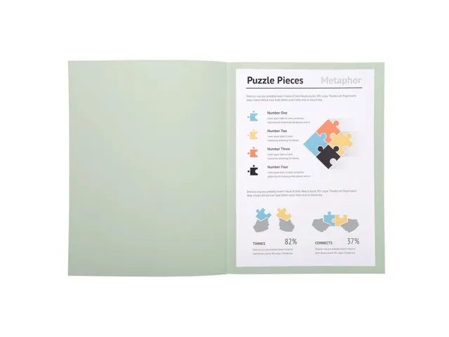 10 Dossiermappen Super 250 - 24x32cm Assorti