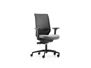Dauphin Bureaustoel Shapemesh Plus met synchroonmechanisme Antraciet - 2