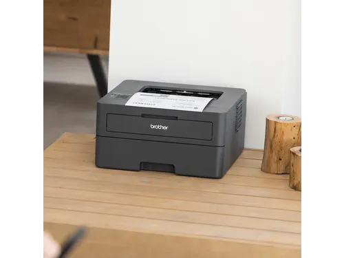 Printer Laser Brother HL-L2400DWE