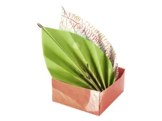 Vouwblaadjes Folia 80gr 15x15cm 50 vel 2-zijdig 10 tropical designs - 3