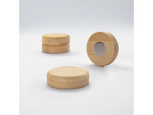 Magneten Sigel rond hout 4 stuk