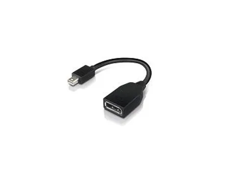 Lenovo 4X90L13971 Mini DisplayPort naar DisplayPort Adapter