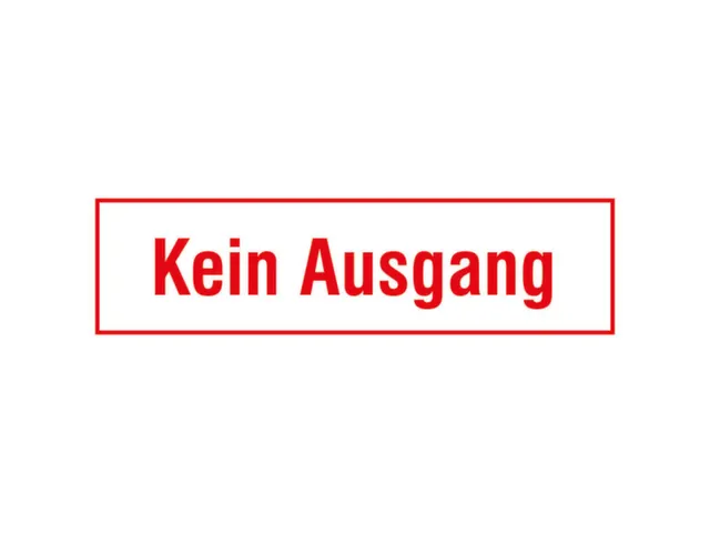 aanwijzingsbord,Geen uitgang,PVC,om te verlijmen,HxB 70x250mm