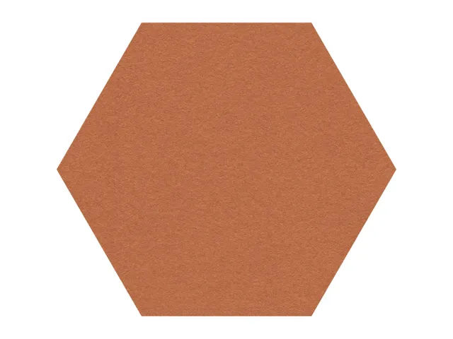 Prikbord Zeshoek Bruin Kleur 2207 Bulletin Paneel Ø 60cm frameloos