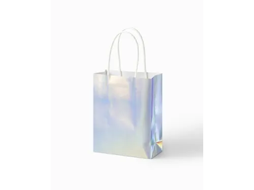 Cadeautas Folia iriserend kraft 12x15x5.5cm 10 stuks