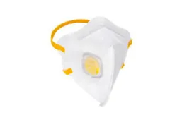 Bx15 Rsg 202435 Dust Mask Ffp3