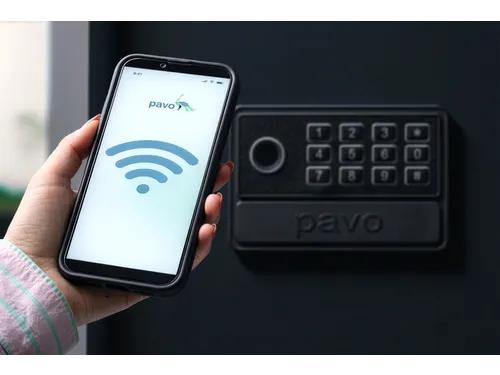 Sleutelkast Pavo High Security SMART 50 haken