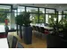 jardinière,trapézoïdal,PE,gris anthracite,HxlxP 900x900x390mm