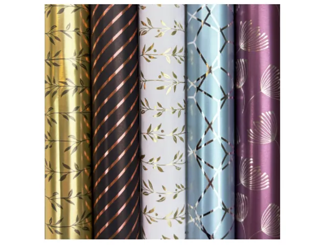 Papier cadeau Rotolux Paris 200x70cm assorti