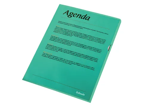 Insteekmap L-map Esselte Standaard A4 0.11mm Pp Groen