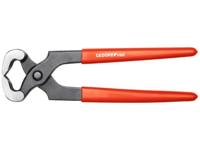 R28904201 Nijptang 200mm T.Hü.