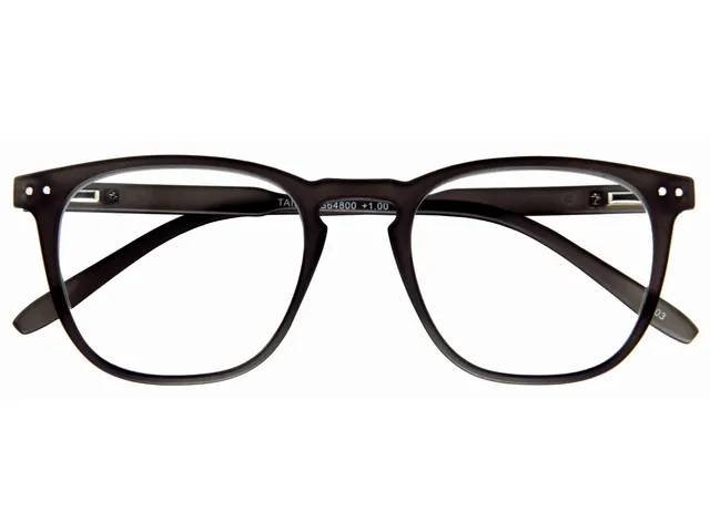 Lunettes de lecture I Need You +2.50 dpt Tailor anthracite