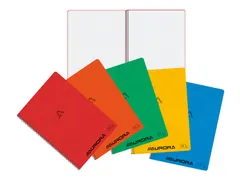 Schrift Aurora A4 ruit 5x5mm 120 pagina's 80gr assorti