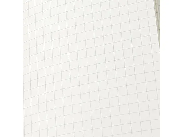 Notitieboek Moleskine large 130x210mm ruit 5x5mm hard cover zwart