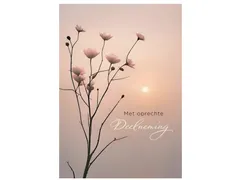 Wenskaart Hallmark condoleance bloemen pak à 6 stuks