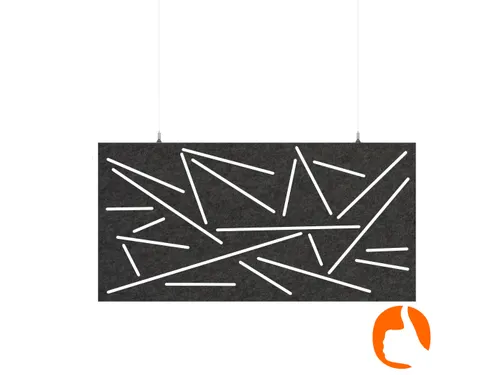 Akoestisch plafondpaneel met patroon uitsnede 60x120cm Zwart