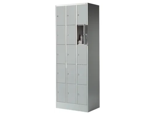 lockerkast,HxBxD 1950x680x480mm,3x5vakken,romp RAL7035,front RAL7035