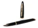 Stylo plume Waterman Carena Sea noir GT Medium encre bleue